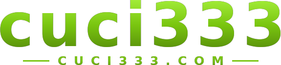 cuci333 logo